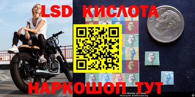 шишки Кимры