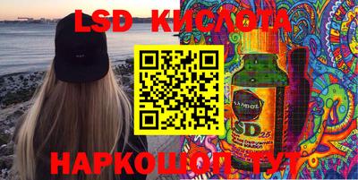 дмт Кингисепп