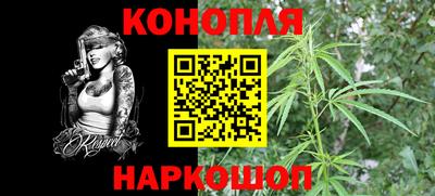 шишки Кимры