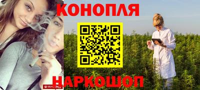 дмт Кингисепп